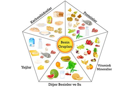 besin-ogeleri-nelerdir.jpg